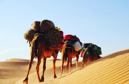 Camp Sahara Holidays M'Hamid Eksteriør bilde