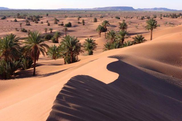Camp Sahara Holidays M'Hamid Eksteriør bilde