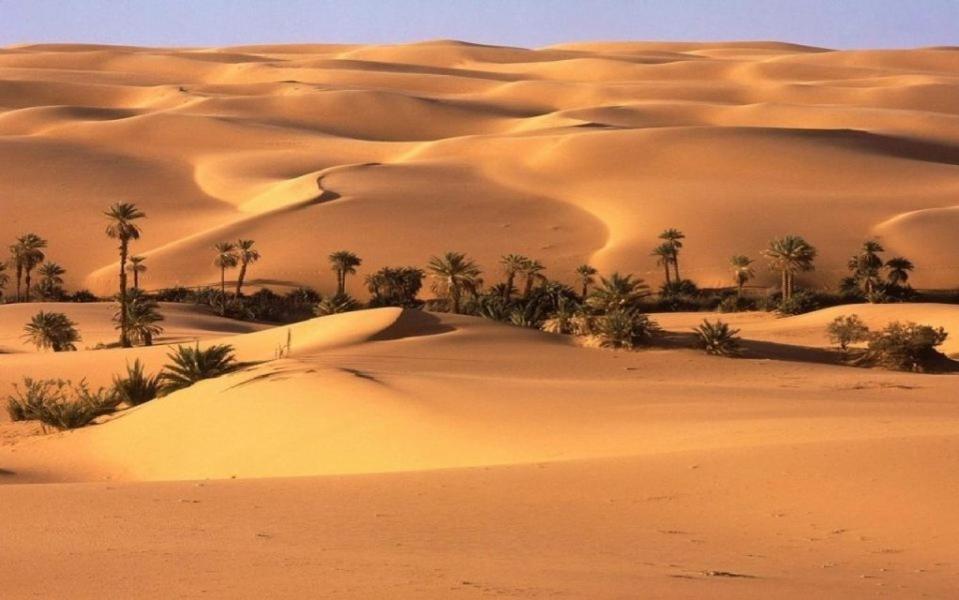 Camp Sahara Holidays M'Hamid Eksteriør bilde