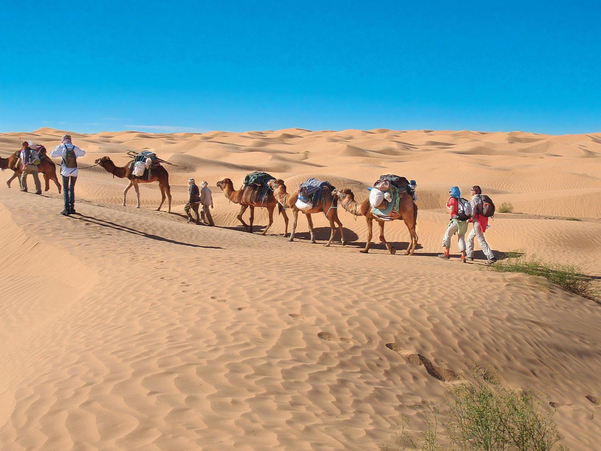 Camp Sahara Holidays M'Hamid Eksteriør bilde