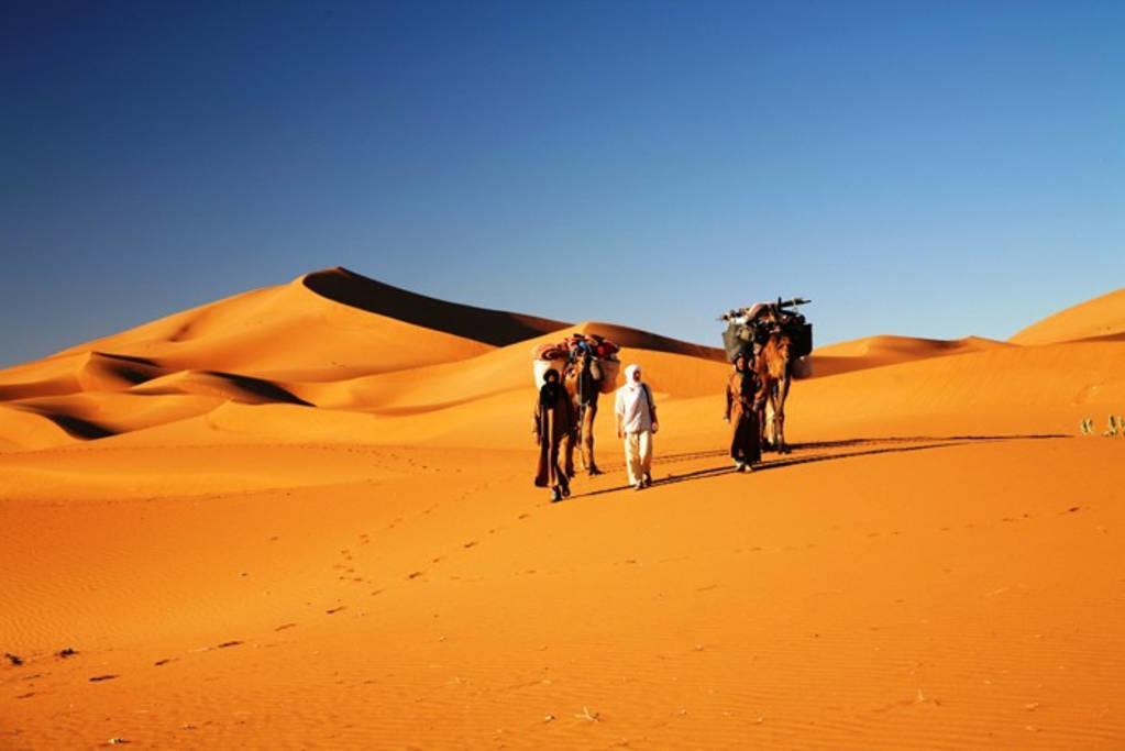 Camp Sahara Holidays M'Hamid Eksteriør bilde