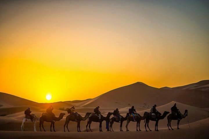 Camp Sahara Holidays M'Hamid Eksteriør bilde