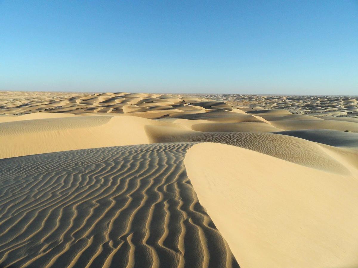 Camp Sahara Holidays M'Hamid Eksteriør bilde