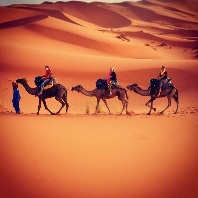 Camp Sahara Holidays M'Hamid Eksteriør bilde