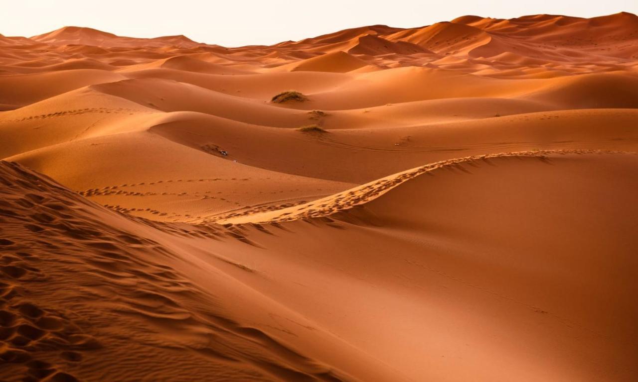 Camp Sahara Holidays M'Hamid Eksteriør bilde