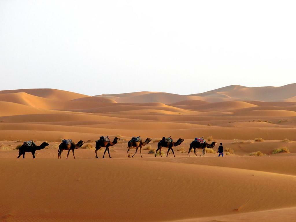 Camp Sahara Holidays M'Hamid Eksteriør bilde