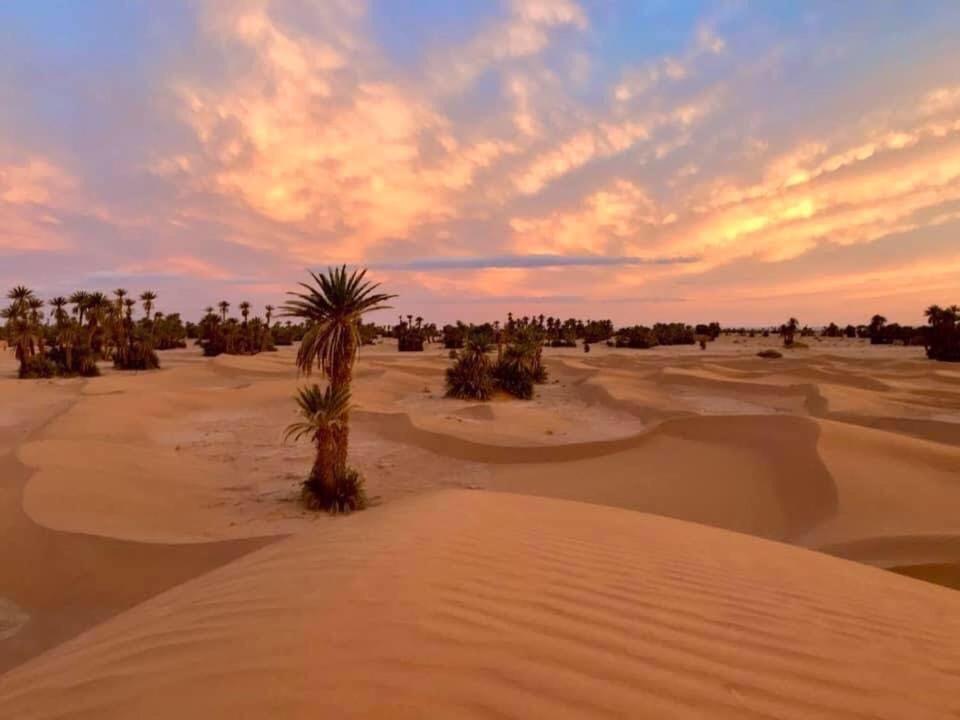 Camp Sahara Holidays M'Hamid Eksteriør bilde